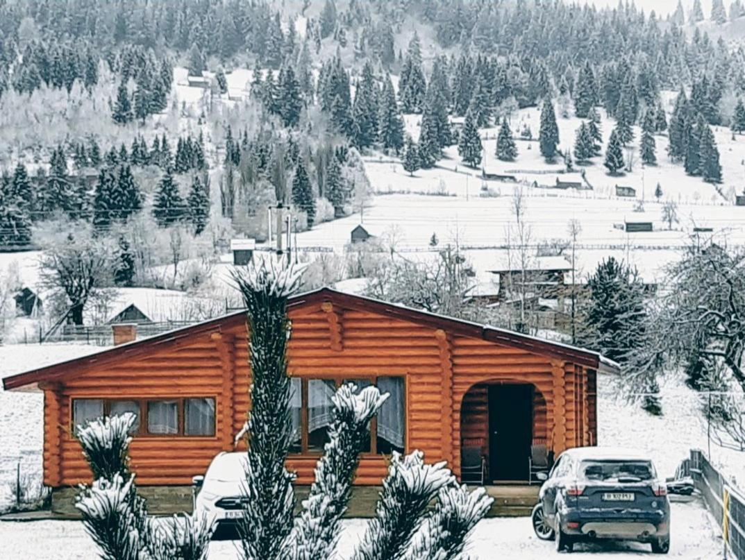 Cabana Alesia, Relaxare La Poalele Raraului Câmpulung Moldovenesc Exterior foto