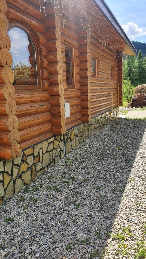 Cabana Alesia, Relaxare La Poalele Raraului Câmpulung Moldovenesc Exterior foto